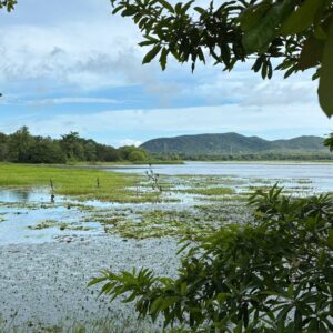 WhatsApp Image 2025-06-11 at 20.59.45 (3)