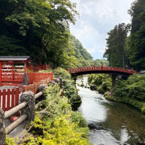 WhatsApp Image 2025-06-11 at 21.06.18