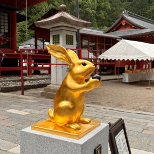 WhatsApp Image 2025-06-11 at 21.06.18 (3331)