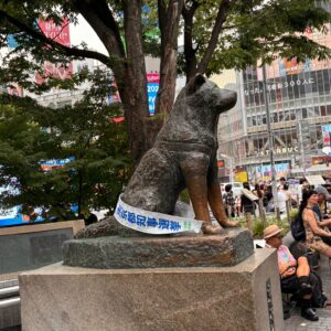 WhatsApp Image 2025-06-11 at 21.06.198