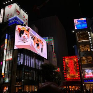 WhatsApp Image 2025-06-11 at 21.06.20