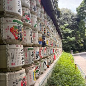 WhatsApp Image 2025-06-11 at 21.06.2000