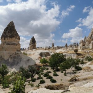 WhatsApp Image 2025-06-11 at 21.39.278